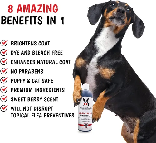 Miniatura 4 de Warren London Magic Black - Champú para perros Ilumina cualquier abrigo de perro Formulado para abrigos de perro más oscuros Suministros