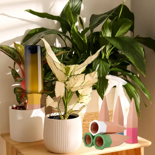 Miniatura 7 de Jovitec 6 estacas de riego de plantas de terracota, picos de riego automático para plantas de interior y exterior, hogar y oficina (multicolor)