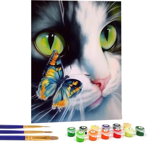 Bimkole Kit de pintura de gato por números, pintura al óleo sobre lienzo, pintura acrílica para principiantes, pintura para dibujo con pinceles,