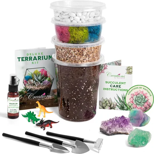 Creations by Nathalie – Kit de bricolaje grande para terrario de inicio con tierra, musgo, piedras, cristal de curación, herramientas y suministros