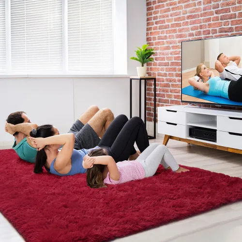 Miniatura 4 de Amearea Alfombra suave y esponjosa de alta calidad de 4 x 5.3 pies, alfombras peludas para dormitorio, alfombra de pelo largo para sala de estar