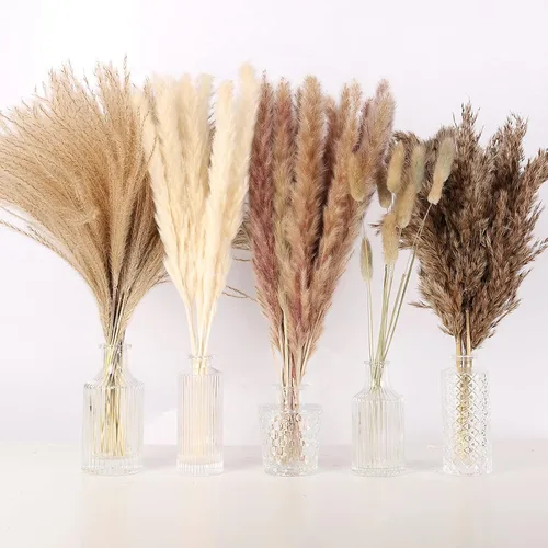 N&T NETING - Decoración de hierba de pampa seca, hierba de pampa blanca, pampa marrón, cola de conejo, caña, flores de hierba de pompas secas
