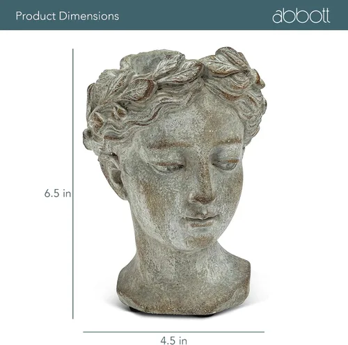 Miniatura 6 de Colección Abbott - Maceta de cabeza de diosa - Maceta de cemento extra pequeña para interior y exterior - Estatua de cabeza de mujer griega para Gris