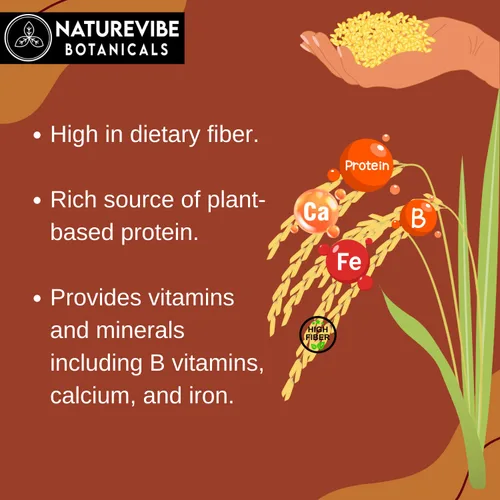 Miniatura 8 de Naturevibe Botanicals Harina de Teff marrón de 5 libras 100% grano entero y sin gluten Finamente molida, alta en fibra y proteína vegetal