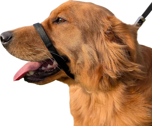 PetsProMax - Collar de cabeza de perro sin tirones para perros pequeños; parada instantánea; collar de entrenamiento suave para perros; solución
