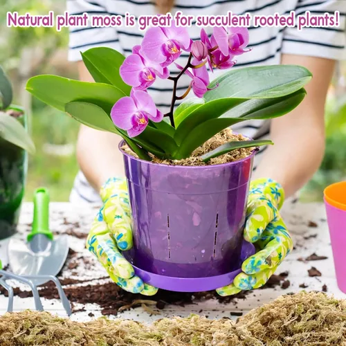 Miniatura 7 de Riare 1.1 libras de musgo esfagnum de alta calidad, plantas de turba de esfagnum largo natural, secado con musgo, plantas carnívoras mezcla