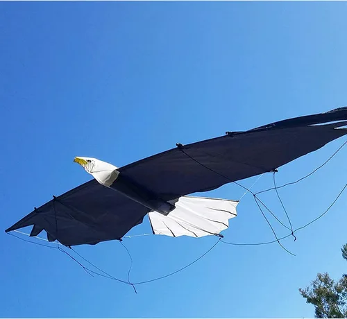 Miniatura 4 de Revolution Kites 3D Eagle Quad-Line Stunt Wing de 8 pies (novicios a profesionales) - Diseño de fibra de carbono ultraligero - Lanzamiento desde
