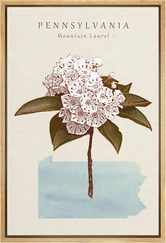 Miniatura 43 de Lienzo enmarcado para pared, diseño de rosa del desierto con pinchos, plantas florales suculentas, fotografía, arte moderno, primer plano