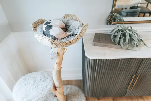 Miniatura 7 de Torre de Árbol de Gato de Madera, Condominio de Gato de Rama Única Moderna, Árbol de Gato de Madera, Escalada para Gatos, Muebles para Gatos, Regalo