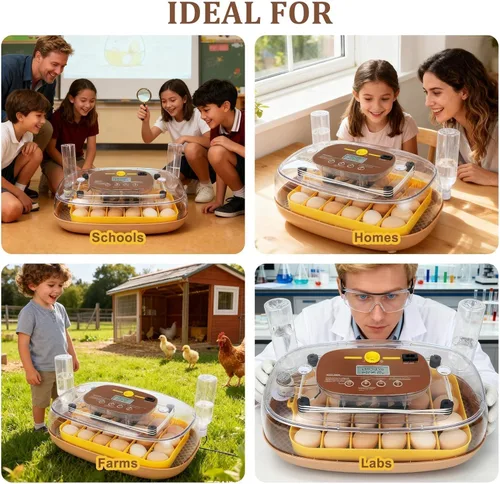 Miniatura 8 de Incubadora de 24 huevos para eclosión con volteador automático, control inteligente de temperatura y humedad, visualización de 360°, ovoscopio