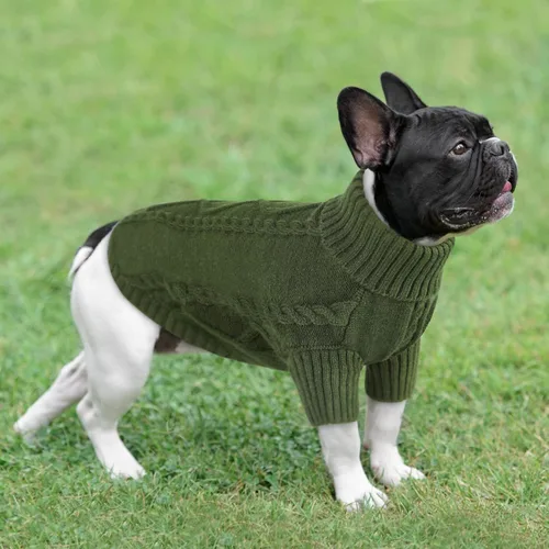 Miniatura 6 de Queenmore - Suéter de punto trenzado con cuello alto para perros pequeños, para climas fríos, para chihuahua, bulldog, teckel, carlino y yorkie, XS
