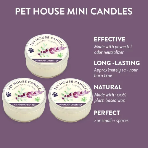Miniatura 2 de Pet House - Mini velas para olor de mascotas, a base de plantas, velas perfumadas aptas para perros y gatos, té verde lavanda, paquete de 3