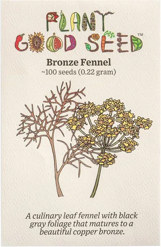 Miniatura 2 de Plant Good Seed Semillas de hinojo orgánicas Antares F1, paquete de 20, semillas tradicionales para plantar hierbas, suministros de jardinería