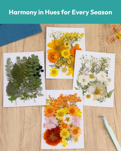 Miniatura 5 de Flores Secas, Resiners 100 Piezas de Flores Prensadas para Manualidades Amarillas Flores Secas Naturales Reales Kit de Hojas Secas para Hacer