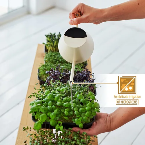 Miniatura 6 de AnaVeRa Regadera para plantas de interior, pequeña lata de agua de acero inoxidable con boquilla larga recta, regadera con mango de madera para casa