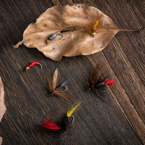 Miniatura 5 de Goture Fly Fishing Flies Kit,25pcs/30pcs/100pcs Fly Fishing Lures,Dry Flies Wet Flies Streamers Nymphs Flies, Fly Fishing Assortment Kit for Bass F