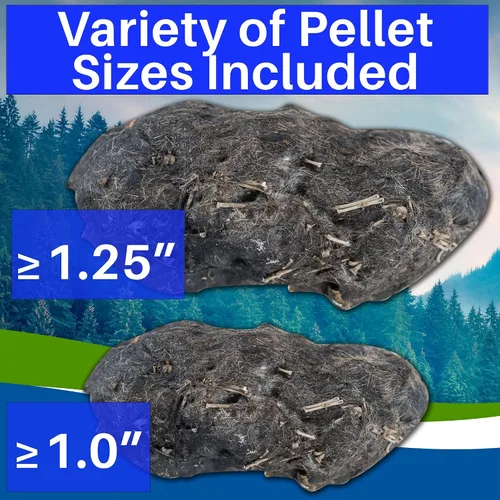 Miniatura 6 de Amazing Owl - Kit de disección de pellets de búho – Juego de pellets de búho de 10 piezas para proyectos de laboratorio científico – con pinzas