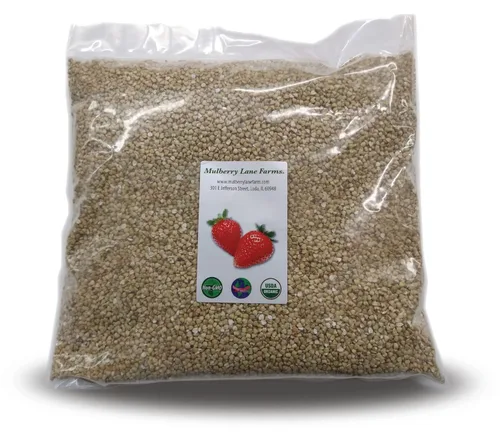 Trigo sarraceno, 5 libras certificado por USDA, orgánico, sin OMG, descascarillado, entero, (granos) a granel, producto de EE. UU., Mulberry Lane