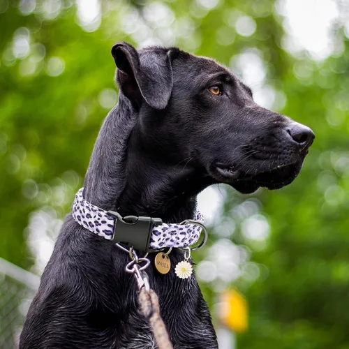 Miniatura 4 de Lindo collar de algodón para perro, patrones de flores, collares suaves y ajustables para cachorros, para hembras, perros pequeños, medianos