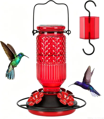 FEED GARDEN Comedero de vidrio para colibríes para colgar al aire libre, comedero de colibríes de 16 onzas con 4 puertos de alimentación con Rojo