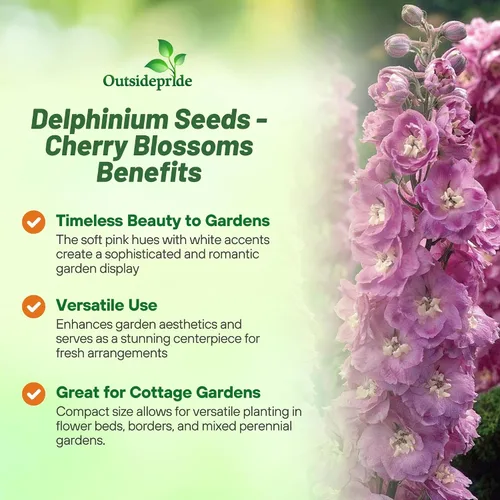 Miniatura 3 de Outsidepride Magic Fountains Delphinium Seeds - 100 semillas de flores perennes, autosembradas, tolerantes al calor y la sequía para plantar flores