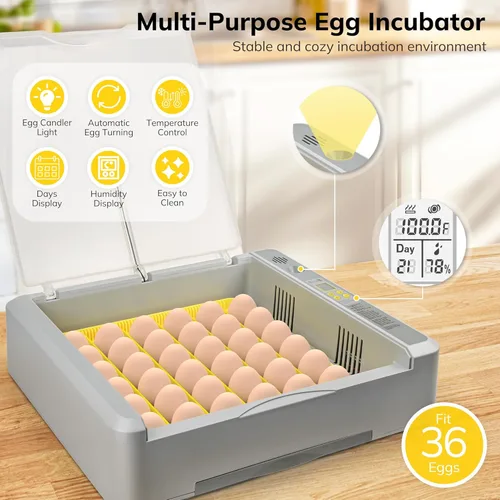 Miniatura 2 de Incubadora de huevos 36-60 con giro automático de huevos y control de humedad, incubadora de huevos de pollo con pantalla digital, incubadoras
