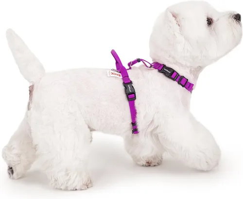 Miniatura 9 de Arnés para perro no restrictivo, fácil libertad de caminar, arnés sin tirones, mantiene el equilibrio, hebilla de cuello, ajuste de seis puntos, 2
