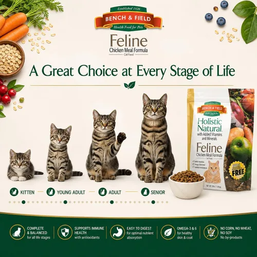 Miniatura 3 de Bench & Field Holistic Premium Alimento seco para gatos, harina de pollo y arroz integral, hecho sin maíz, trigo o soja, para todas las etapas