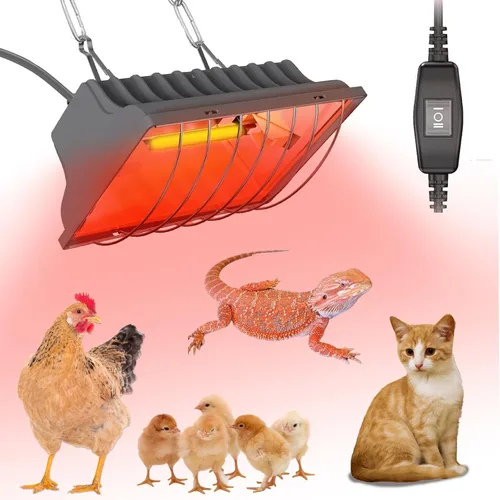 Lámpara de calentador de gallinero de 250 W, lámpara de calor colgante de invierno para pollos incubadoras de pollos incubadoras de temperatura