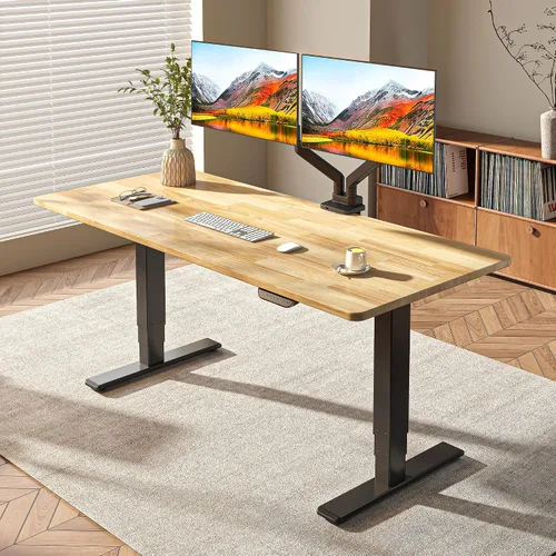 FLEXISPOT E6 MAX - Escritorio de pie de 3 etapas de madera maciza con doble motor de 48 x 24 pulgadas, capacidad de peso de 330 libras, escritorio