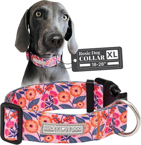 Miniatura 21 de Lucky Love Dog Collar Ancho para Perros - Collar Ajustable, Duradero, Tejido Suave y Cómodo de 1.5 Pulgadas de Ancho para Perros Machos y Hembras