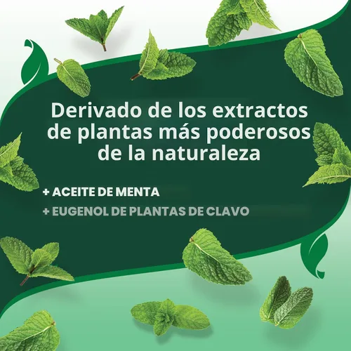 Miniatura 6 de Vet's Best Spray natural para pulgas y garrapatas para el hogar, tratamiento de pulgas y garrapatas de perro para el hogar, prevención de pulgas