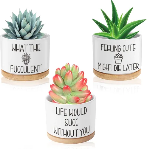 Miniatura 9 de Macetas para suculentas, macetas divertidas de cerámica de 3.15 pulgadas con etiquetas para plantas, macetas pequeñas con agujeros de drenaje