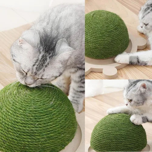 Miniatura 3 de Fhiny Pelota rascador para gatos, juguete rascador de sisal natural con pista de rodillos y base de madera con forma de tortuga para gatos de Verde