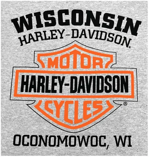 Miniatura 2 de Harley-Davidson Camisa de los hombres, camiseta de manga larga Willie G Skull, gris 30296651
