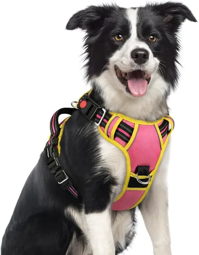 Miniatura 39 de rabbitgoo Arnés para perro de tamaño pequeño, chaleco para perro sin tirones con 3 hebillas, arnés ajustable y acolchado suave para mascotas con asa