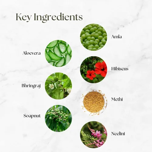 Miniatura 4 de ATRIMED Denz & Darc Champú Terapéutico Herbal