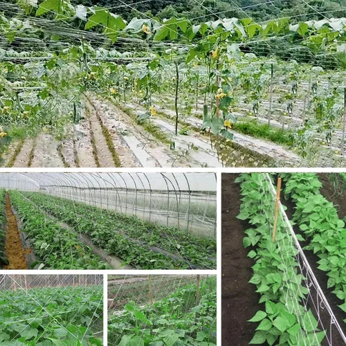 Miniatura 5 de 4 x 8 pies, 1 paquete de red de enrejado blanco para jardín, red de cultivo de poliéster resistente, red para plantas trepadoras al aire libre