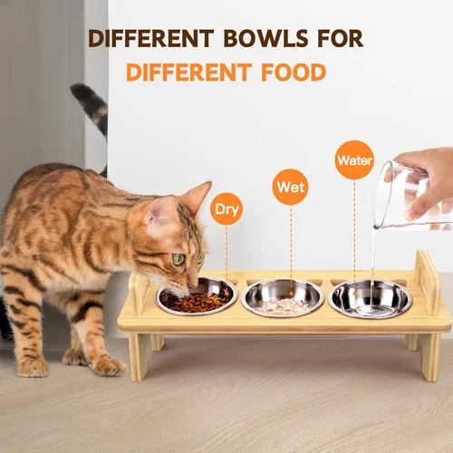 Miniatura 5 de Tazón Elevado de Comida para Gatos, 3 Cuencos Elevados de Acero Inoxidable para Gatos con Soporte, Cuenco Inclinado 15° para Perros Pequeños