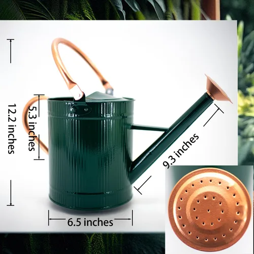 Miniatura 2 de Regadera de 1 galón, regadera de plantas, regadera de metal con boquilla extraíble, jarra de riego galvanizada, bonita lata de agua verde para uso