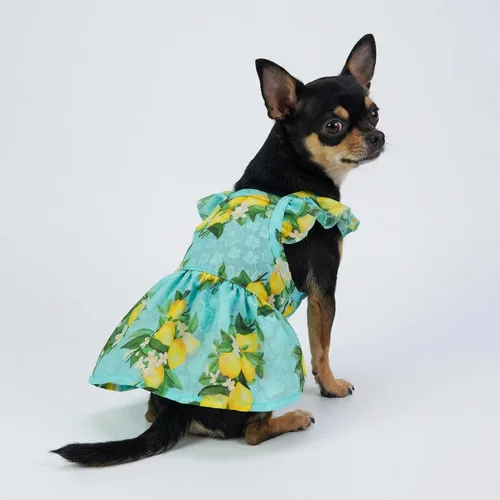 Miniatura 4 de Vestido de limón para perros Fitwarm, ropa para perros pequeños para niñas, ropa para mascotas para gatos, azul teja, amarillo, verde, XS