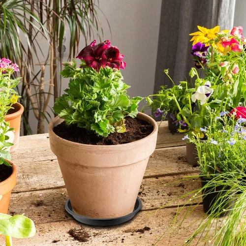 Miniatura 2 de BamLue Paquete de 12 platillos gruesos mejorados para plantas, 6, 8, 10 pulgadas, platos redondos de plástico para plantas de jardín