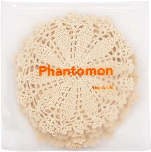 Miniatura 4 de Phantomon Juego de 4 manteles individuales de algodón hechos a mano de 7 pulgadas (beige)