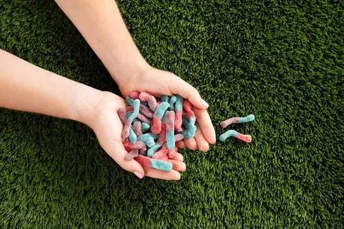Miniatura 4 de Trolli - Gusanos de goma ácidos de frutos rojos, 7.2 onzas, paquete de 4 Sour Brite Crawlers