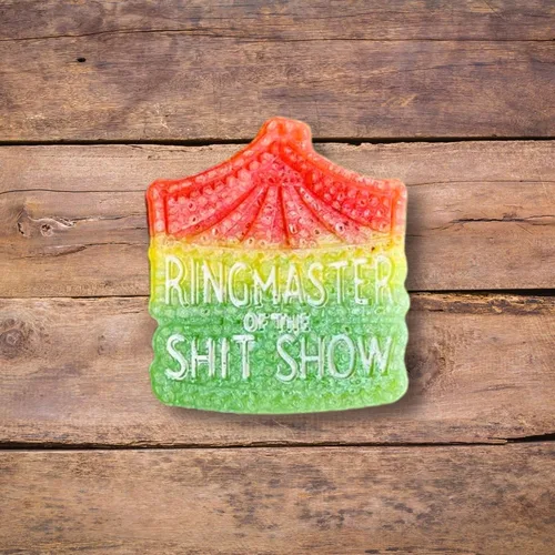 Ringmaster of This Shit Show - Molde Freshie para tienda de campaña de circo aromático perfumado curado de 3.9 x 3.75 x 0.8 pulgadas, resina D Mom
