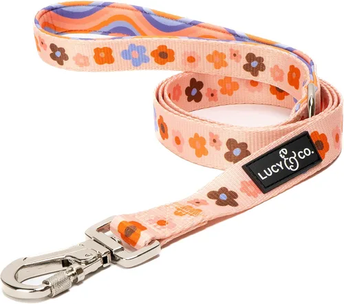 Miniatura 19 de Correa para perros de diseño Lucy & Co. - Accesorios para mascotas - Correa gruesa para perros - Asa acolchada para mayor comodidad - Entre