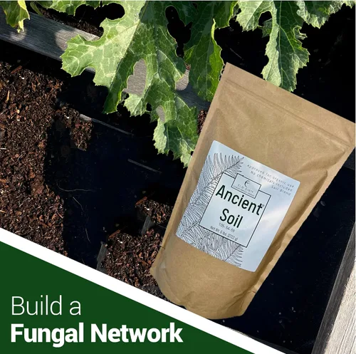 Miniatura 7 de Elm Dirt Suelo antiguo prémium para todas las plantas, orgánico para uso en exteriores e interiores, suelo de jardín para el crecimiento