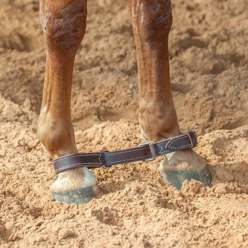 Miniatura 2 de Martin Saddlery Hobbles Latigo de doble costura