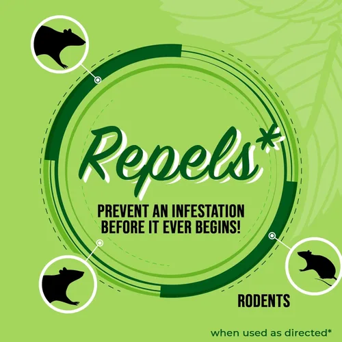 Miniatura 3 de Repelente de roedores con aceite de menta de Mighty Mint – Spray repelente natural para interiores y exteriores contra ratones y ratas – Fórmula