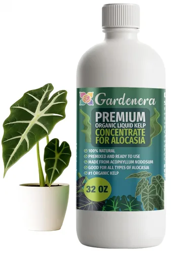 Miniatura 10 de GARDENERA Superalimento orgánico prémium de algas marinas y algas marinas para plantas AGLAONEMA, 8 onzas, concentrado de fertilizante líquido